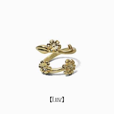 1st_collection | Freecus