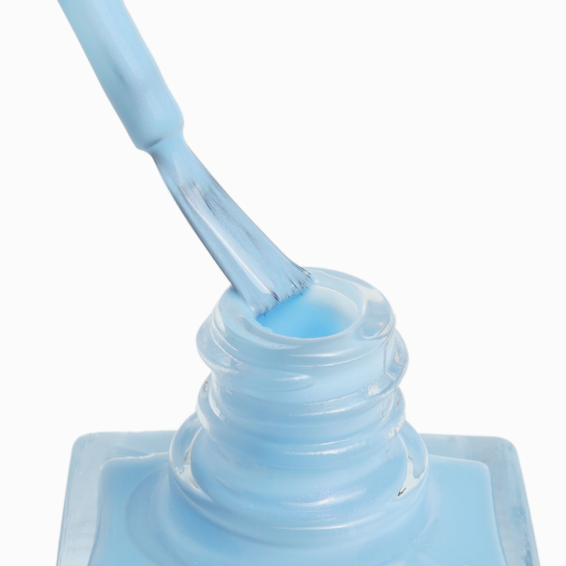 Bluebell | Freecus